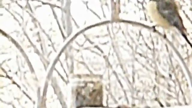 Ребята я покурить нашёл смотреть онлайн