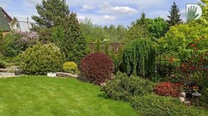 Видео журнал «Сады в отличной форме №40» Сад ландшафтного дизайнера Елены Кондрашовой.