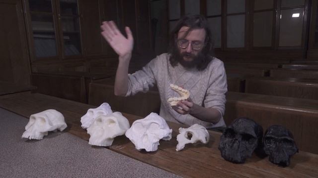 Антропология: Парантропы. Массивные австралопитеки. Станислав Дробышевский смотреть онлайн