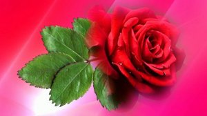 Футаж. Цветочный фон 89