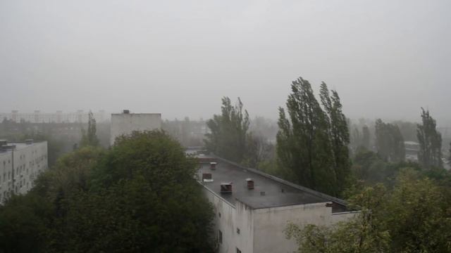 История На Ночь - ПЛЕМЯ