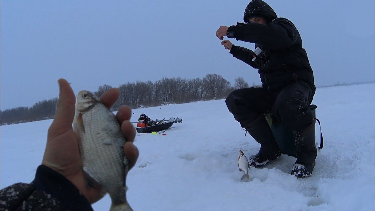 Хотел половить хищника а ловил бель.Лещ оторвал крючок. Рыбалка в Старчихе.