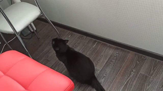 Мой швейный уголок. смотреть онлайн