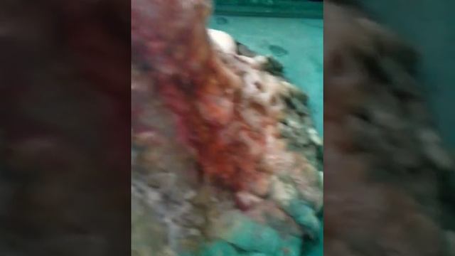 Как сделать извержение вулкана в домашних условиях смотреть онлайн