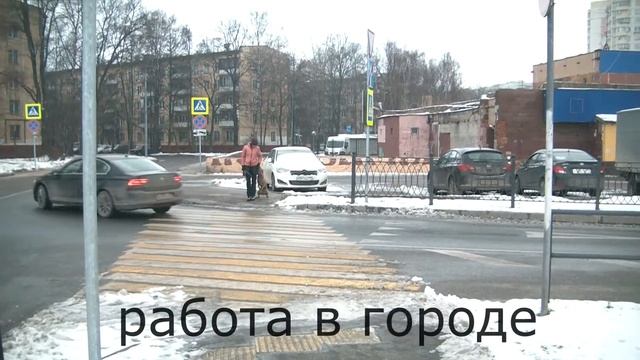 ТАЙСКИЙ РИДЖБЕК ПОСЛУШАНИЕ ЧАСТЬ 1 смотреть онлайн