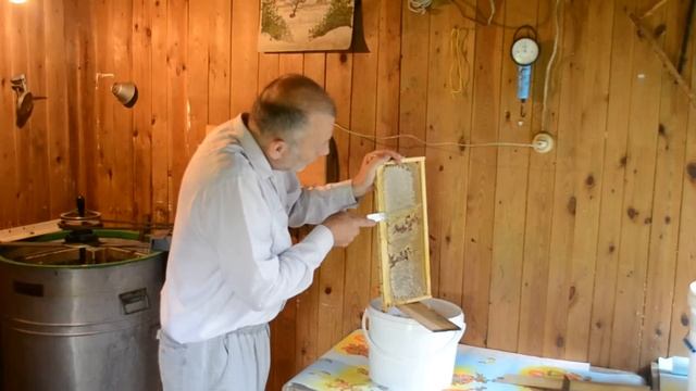 КАК Я РАСПЕЧАТЫВАЮ РАМКИ С МЕДОМ И ЗАГОТАВЛИВАЮ ЗАБРУС. смотреть онлайн
