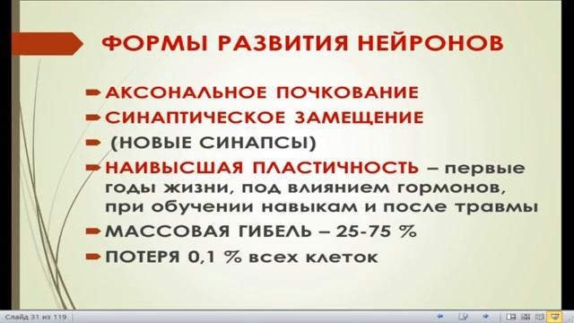 12:00 Специальные ткани Нервная ткань смотреть онлайн