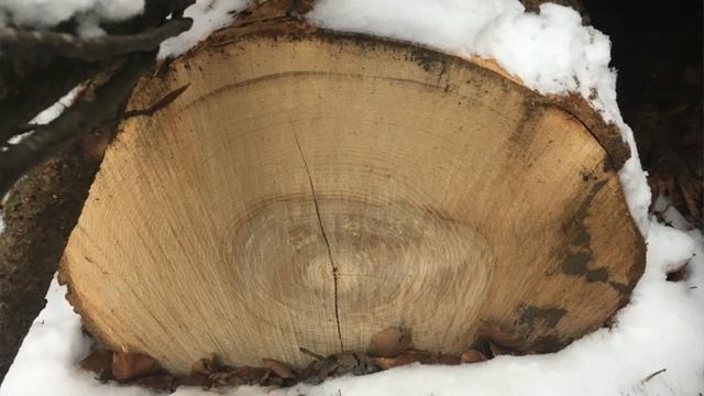 6 Tips to reduce the risk that your Cup/Kuksa get shrinkage cracks смотреть онлайн