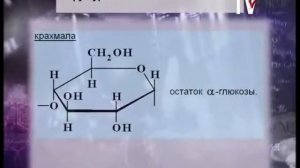 Химия 10 класс. Дисахариды и полисахариды