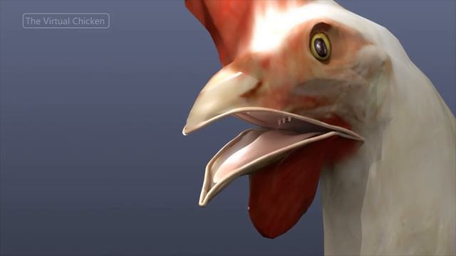Virtual Chicken: The Mouth смотреть онлайн