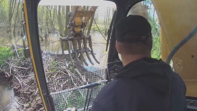 Using Excavator To Remove A Beaver Dam Разрушение плотины