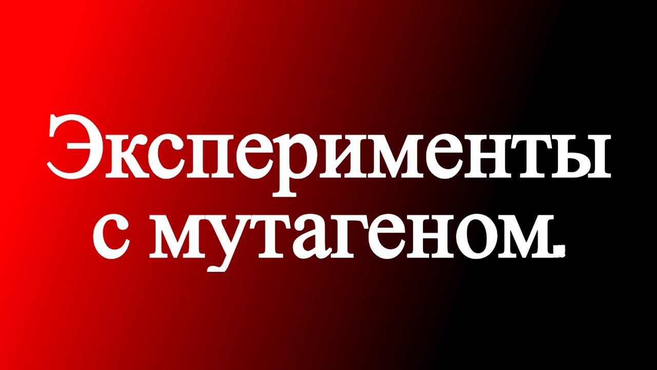 Химия смотреть онлайн