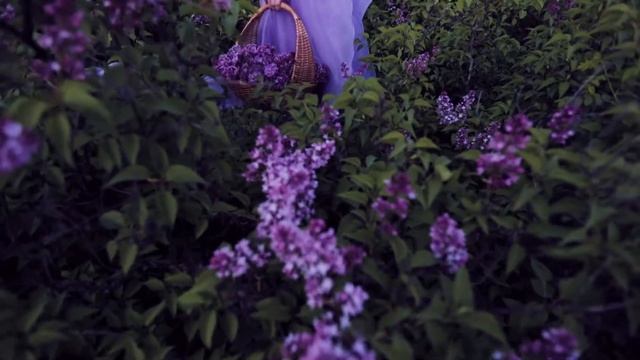 Небольшой видео бэкстейдж с Лизой, как снимался сет с сиренью) смотреть онлайн