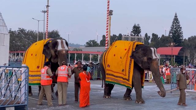 Индийская МЕККА - ТИРУПАТИ | ОН исполняет все желания | Моя Родина Земля