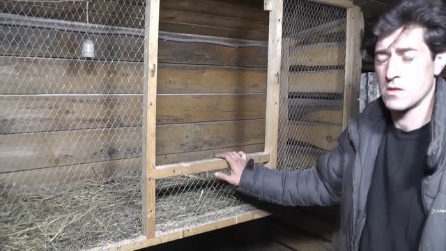 Как правильно содержать цыплят в брудере. смотреть онлайн