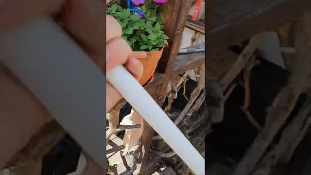 Выпрямить проволоку - легко!! смотреть онлайн