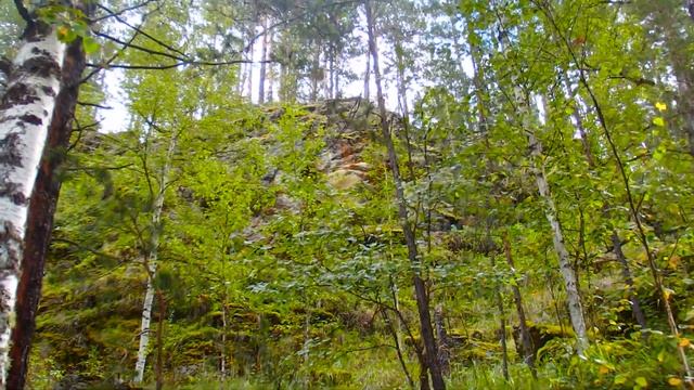 Поездка по бывшей Белорецкой ЖД вдоль речки Арша ! Белая казарма ! Южный Урал ,Башкортостан ! смотреть онлайн