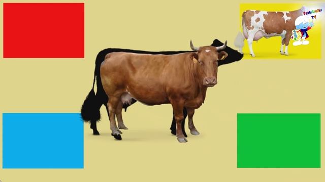 Угадай животное!!! Детская викторина!!! смотреть онлайн