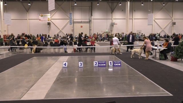 Выставка НСК Экспоцентр 13/12/15 – 1 смотреть онлайн