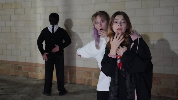 ОБРАТНЫЙ ЧЕЛОВЕК ПРИХОДИТ ПОСЛЕ ПОЛУНОЧИ! ЖУТКАЯ ПЕРЕПИСКА С ПОДПИСЧИЦЕЙ!