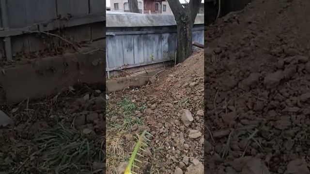 Colectia mea de greble. смотреть онлайн