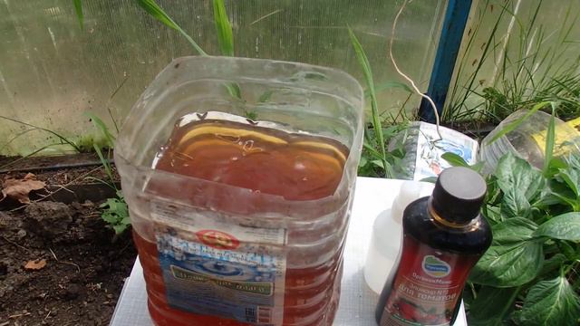 Спаси Свои Огурцы этим копеечным средством из Аптеке, Перекисью водорода и Био препаратами смотреть онлайн