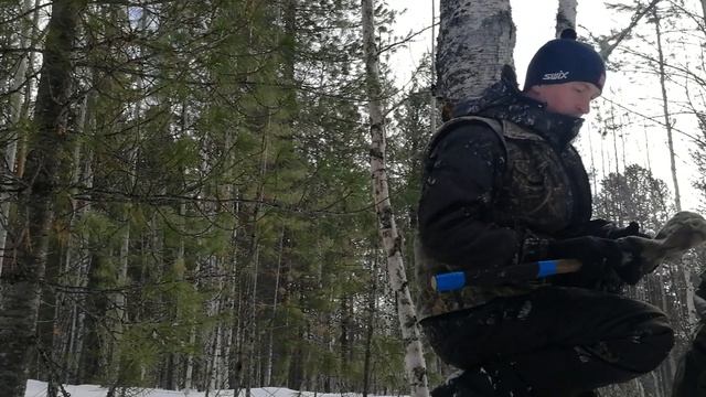 обустройство солонцов для зайца и сбор чаги смотреть онлайн