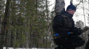 обустройство солонцов для зайца и сбор чаги