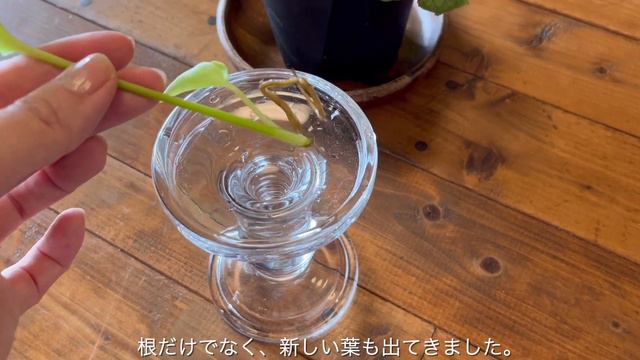 Зеленый гений