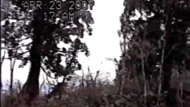 韓國 日本之旅 2005 03 26 & 2007 04 23 смотреть онлайн