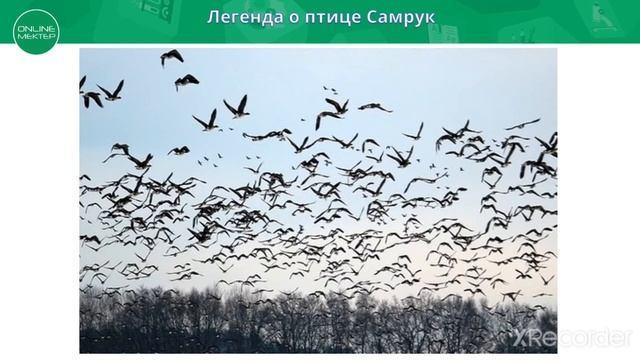 Легенда о птице Самрук смотреть онлайн