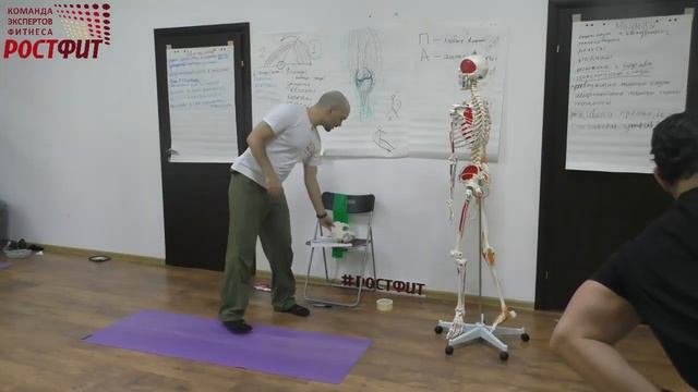 Стретчинг мышц задней поверхности бедра смотреть онлайн