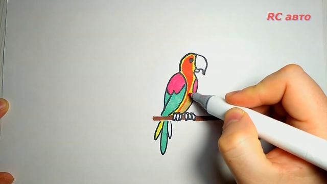Как нарисовать попугая / how to draw а parrot смотреть онлайн