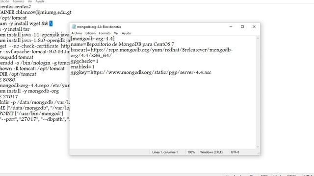 Contendor apache con mongoDB смотреть онлайн