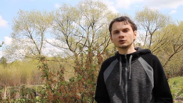 ВИРУСЫ СМОРОДИНЫ: симптомы, пути передачи, вредоносность, профилактика смотреть онлайн