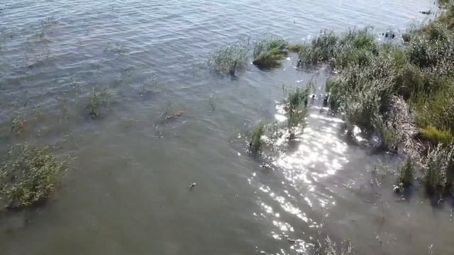 Моя планета - Островок! смотреть онлайн