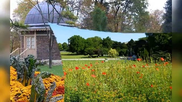 В парке Montsouris Авторская песня Владимир Данчишин Стихи Таис Никольская смотреть онлайн