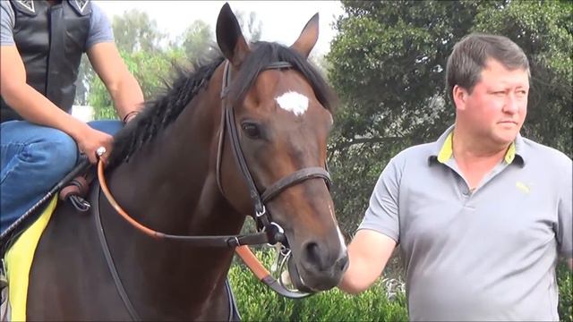Paynter Before a Workout - Sept. 19, 2013 at Santa Anita Park смотреть онлайн