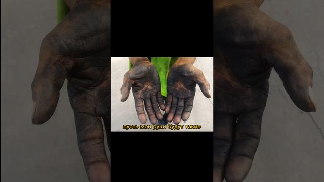 #велоспорт смотреть онлайн