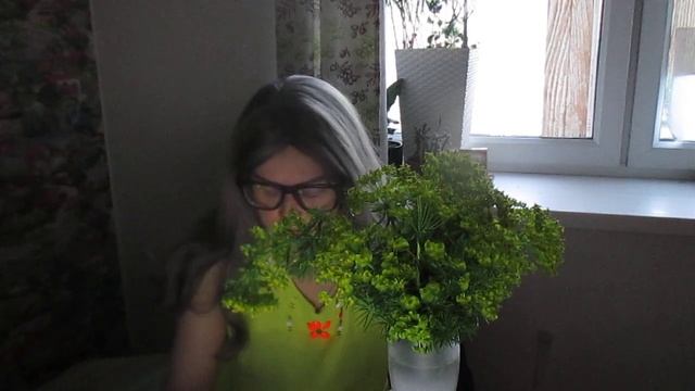 Молоча́й кипари́совый от лат. Euphórbia cyparíssias. #Молоча́й кипари́совый #Euphórbia cyparíssia смотреть онлайн