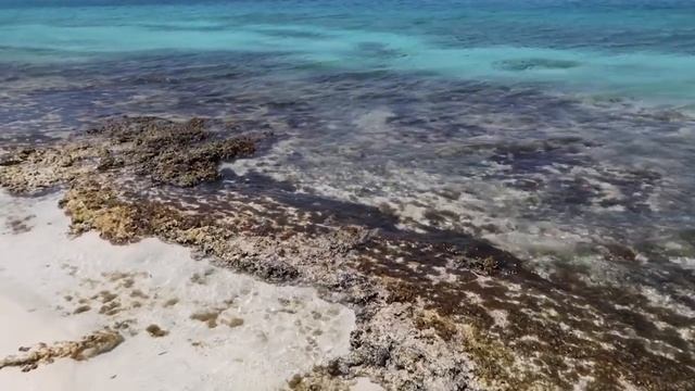 Los Roques Venezuela 2021 ¿Cuánto cuesta viajar a Los Roques? смотреть онлайн