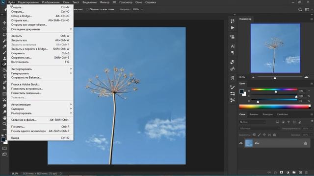 Photoshop. Урок 09 - Убираем дефекты и сохраняем изображения в Photoshop смотреть онлайн