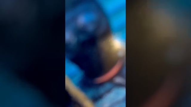 Все о боксах Stone Island