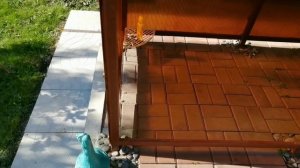 Летний душ своими руками.