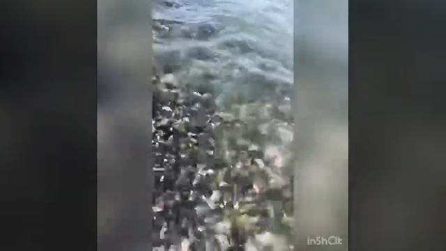 Море Семья. Воспоминания огонь! Прочь короновирус, все у всех будет хорошо. смотреть онлайн