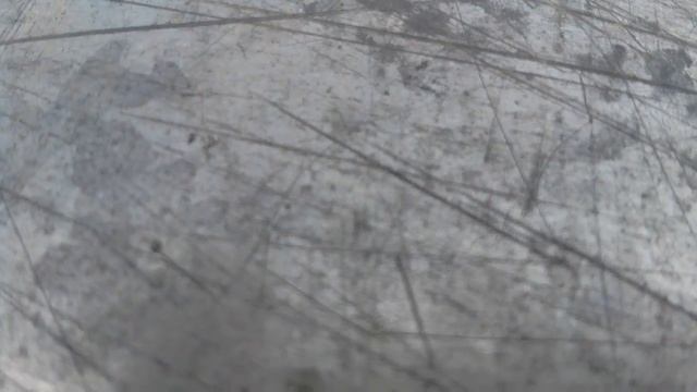 Клещ с собачьей кровью смотреть онлайн