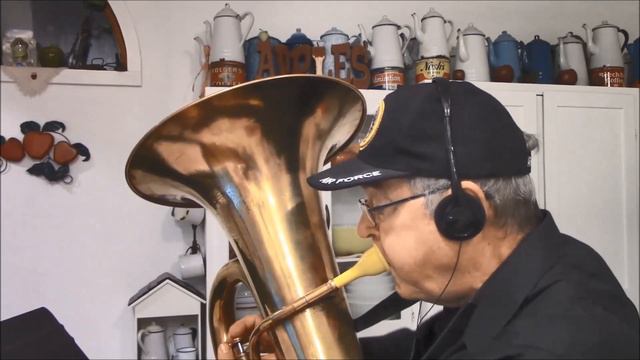 Tiger Rag (Revisited), performed by Brassman Bart смотреть онлайн