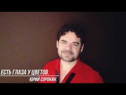 Есть глаза у цветов исполняет Юрий Сорокин. смотреть онлайн