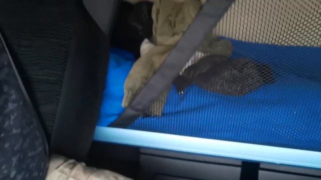 Первый рейс на Владивосток 2020 (1 часть). Проблемы Мерседес Актрос. смотреть онлайн