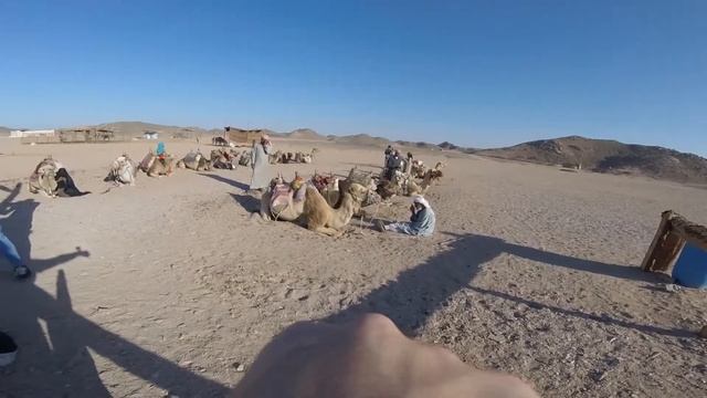 Аравийская пустыня смотреть онлайн